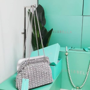 Silver Chrisbella Chain Fashion Handbag